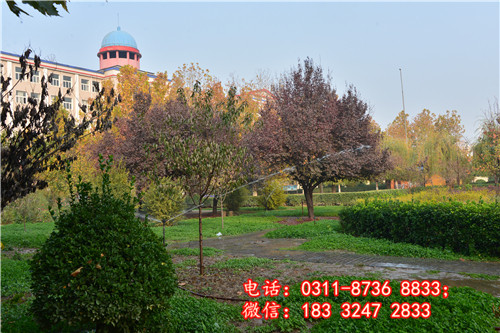 石家莊冀聯醫學中等專業學校要分數嗎？