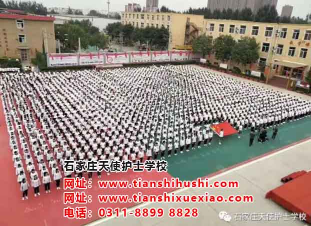 如何從北站坐公交車到石家莊天使護士學校？