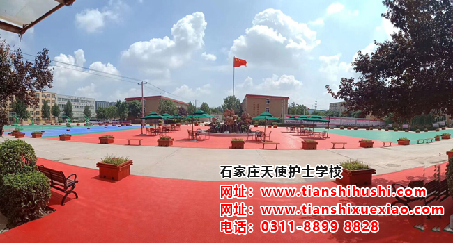 你符合石家莊天使護(hù)士學(xué)校的招生條件嗎