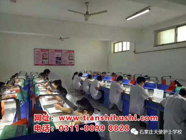石家莊天使護(hù)士學(xué)校口腔專業(yè)對口升學(xué)大專有哪些學(xué)校
