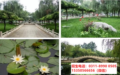 石家莊東華鐵路學校第三年能實習就業嗎？