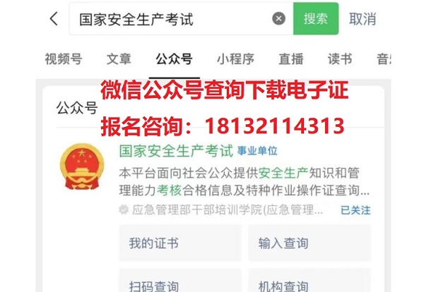 2024年電工查詢入口官網系統（國家應急管理部）