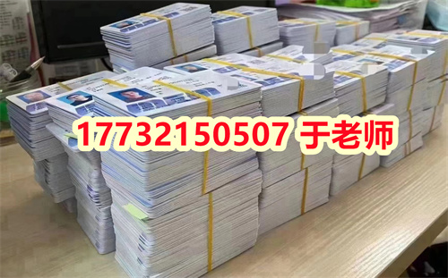  2024年低壓電工證報名費多少錢